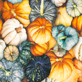 pumpkins