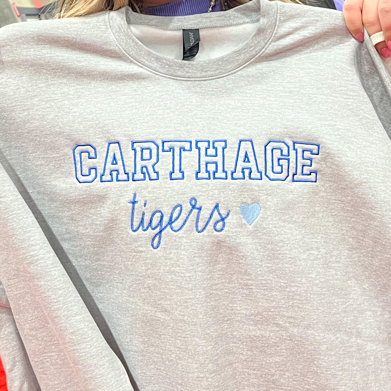 Custom Embroidered Block Font "SCHOOL Team/Mascot" Hoodies