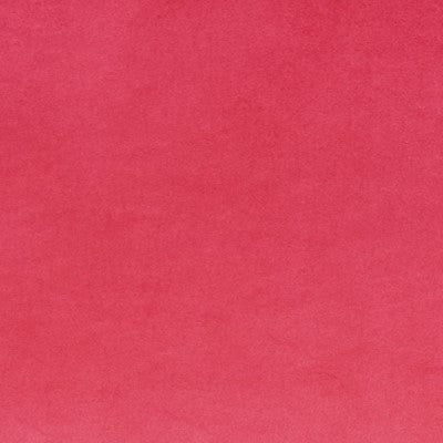 Smooth Shocking Pink
