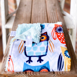 RTS Know it Owl Minky Loveys