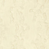 Ivory Glacier
