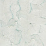 Saltwater Frosted Hide