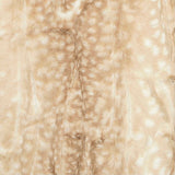 Beige Fawn