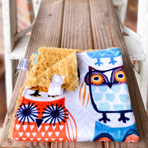 RTS Know it Owl Minky Loveys