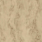 Latte Glacier