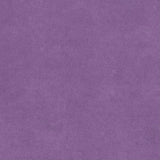 Smooth Violet