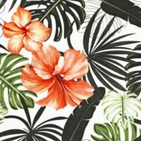 Bahama