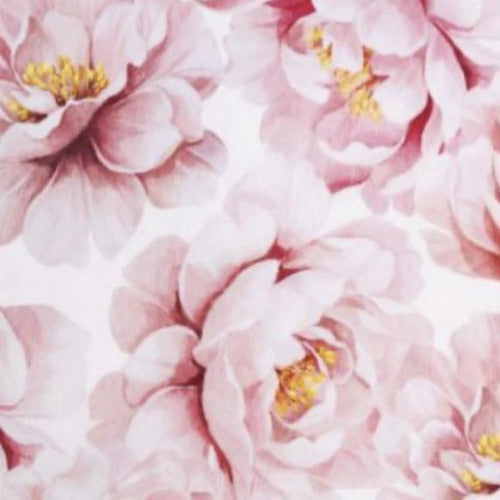 Petal Rose