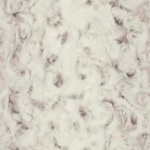 Snowy Owl Elderberry
