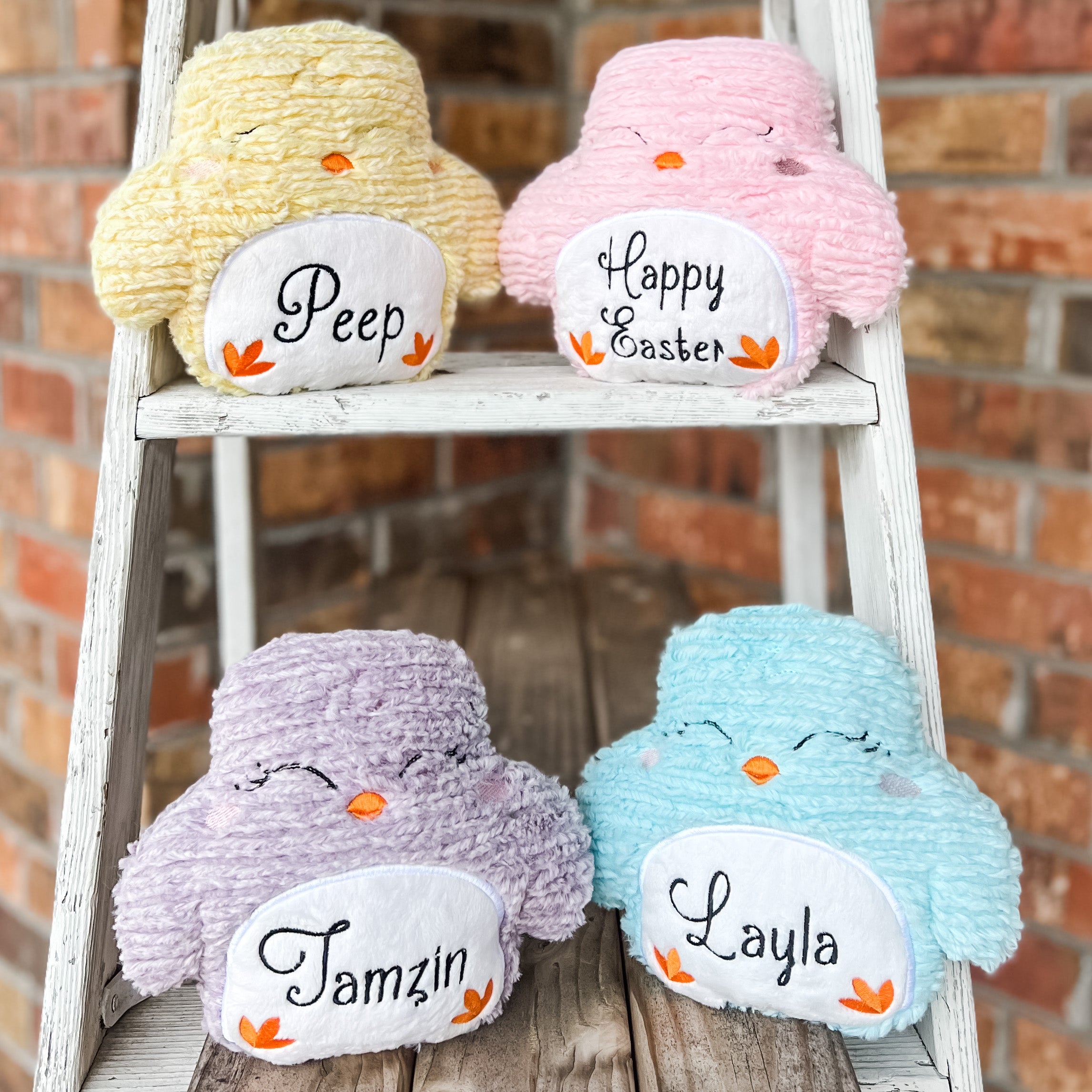 Custom Order Limited Release Handmade Chick