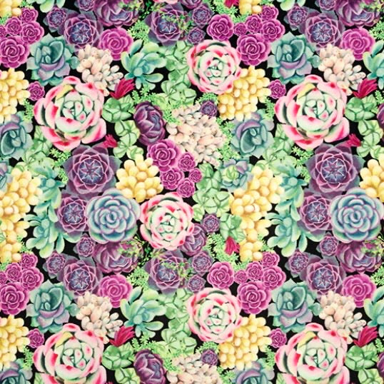 Succulents