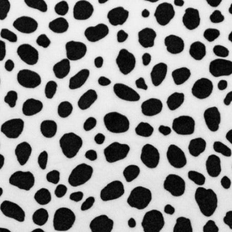 Dalmation