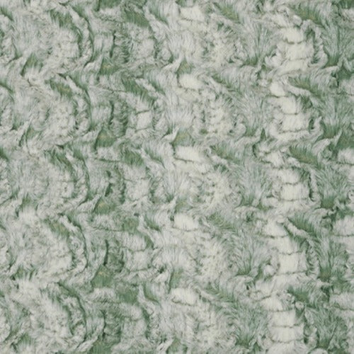 Basil Paloma