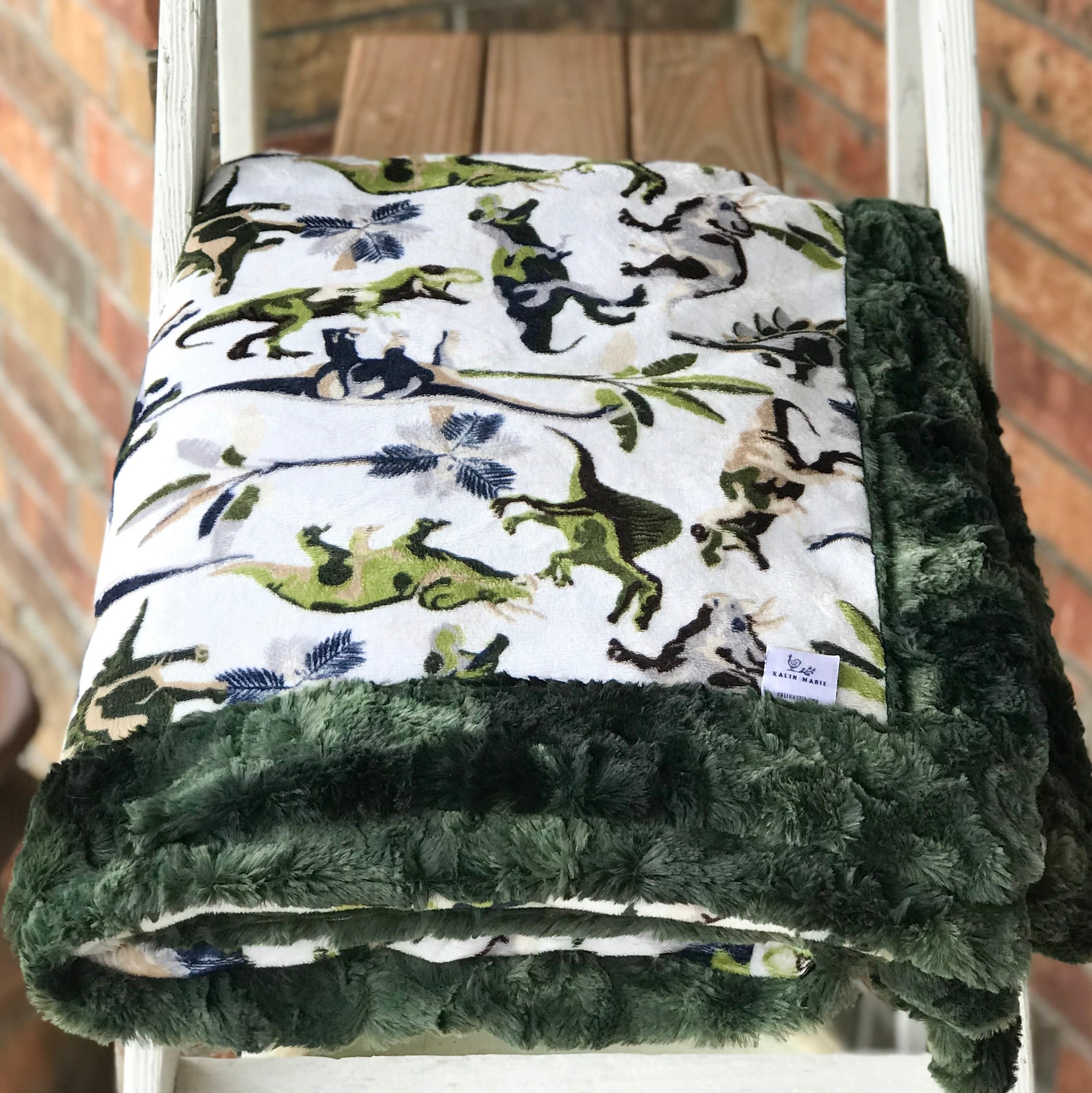 RTS Lost World Snuggle Blanket