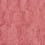 Flamingo Glacier