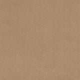 Smooth Simply Taupe
