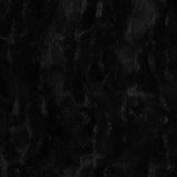 Black Glacier