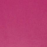 Smooth Raspberry