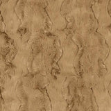 Pecan Glacier