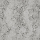 Silver Glacier