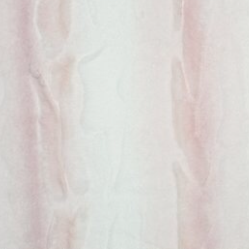 Rosewater Angora