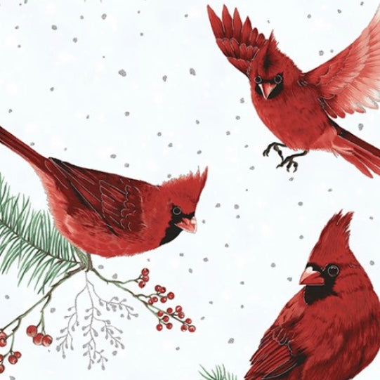 Cardinal Flight