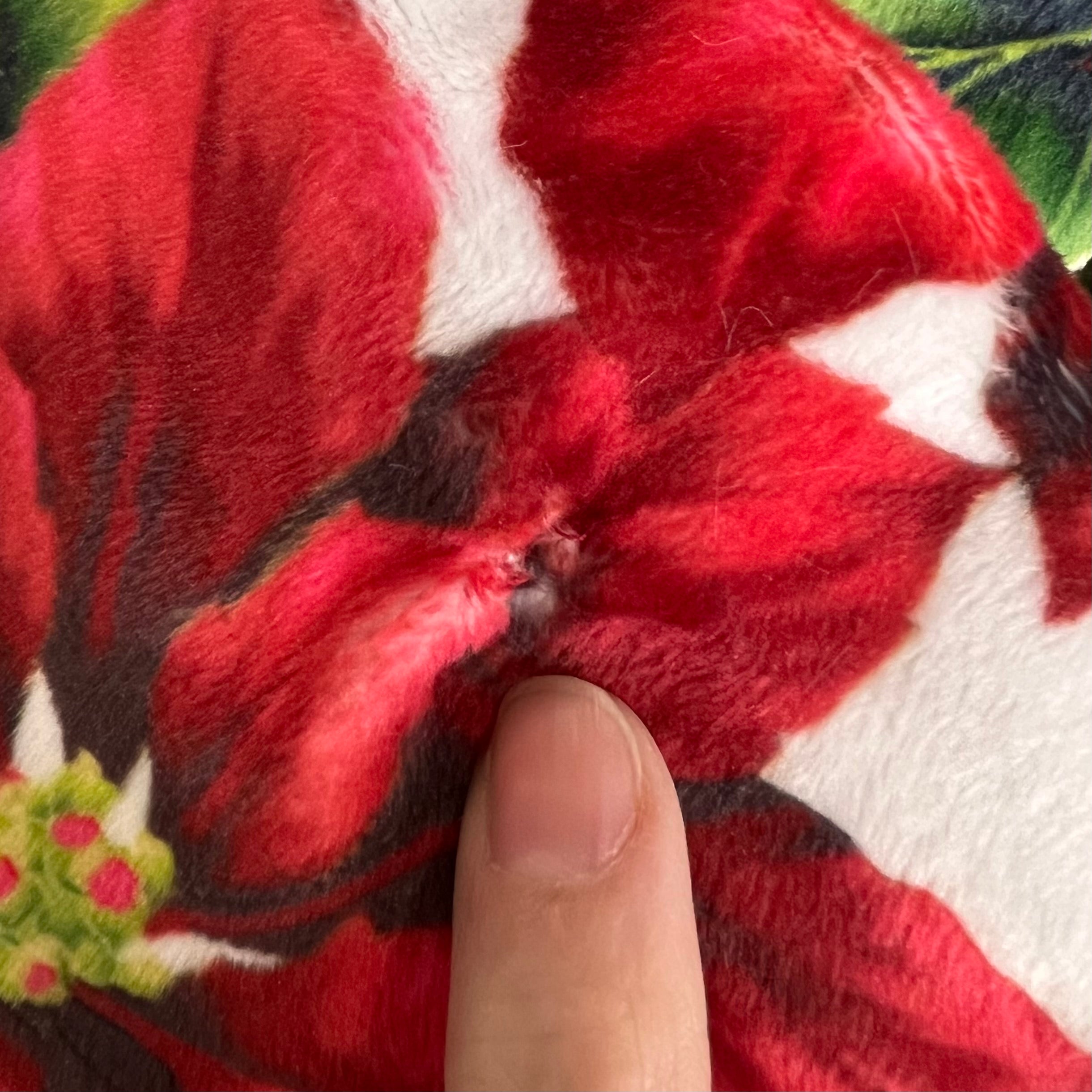 Slightly Imperfect! RTS Poinsettias & Cardinal Glacier Luxe Snuggle Blanket