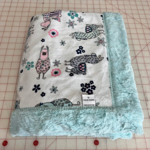 RTS Medium Snuggle Blankets